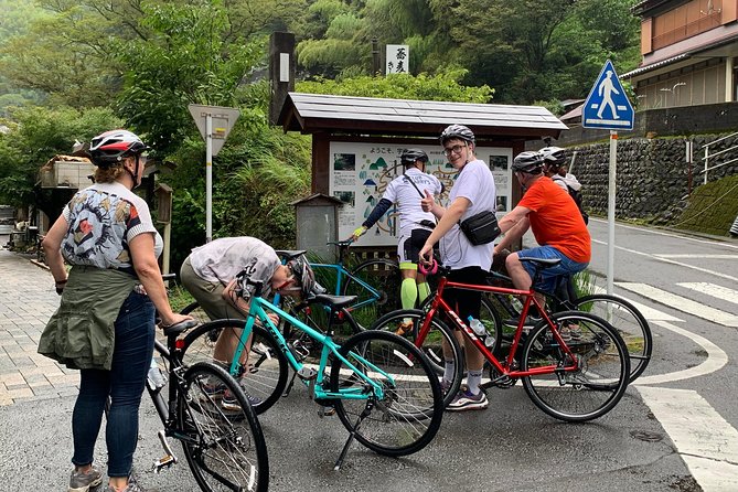 Guided Hybrid Bike Tour in Shizuoka City - Pricing and Group Size