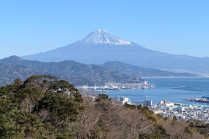 Sightseeing Around Shimizu Port for Cruise Ship Passengers - Attractions for Nature Lovers