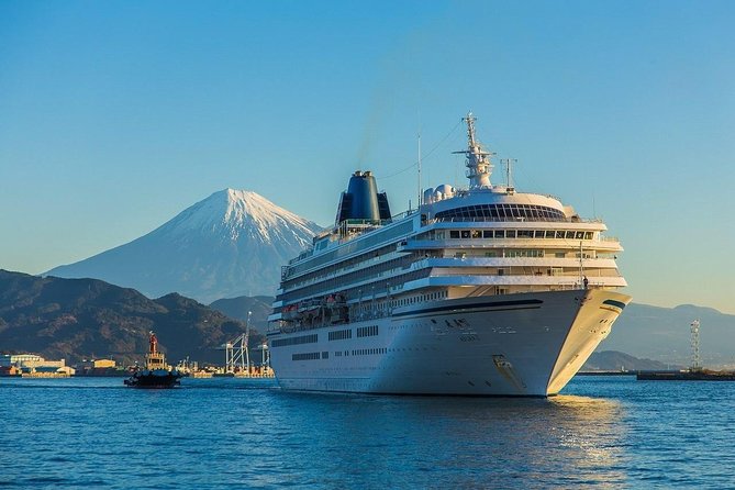 Sightseeing Around Shimizu Port for Cruise Ship Passengers - Best Viewpoints for Scenic Views