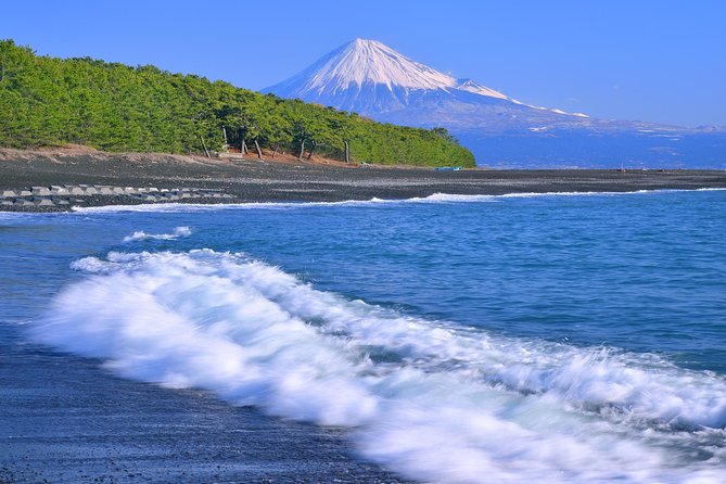 Sightseeing Around Shimizu Port for Cruise Ship Passengers - Local Markets and Shopping Areas