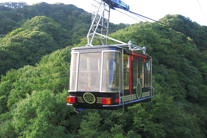 Sightseeing Around Shimizu Port for Cruise Ship Passengers - The Sum Up