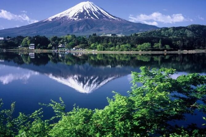 Full Day Private Tour To Mount Fuji Assisted By English Chauffeur - Pick-up and Drop-off Details