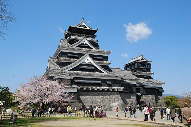 Kumamoto Custom Full Day Tour - Additional Group: Questions and Contact Information