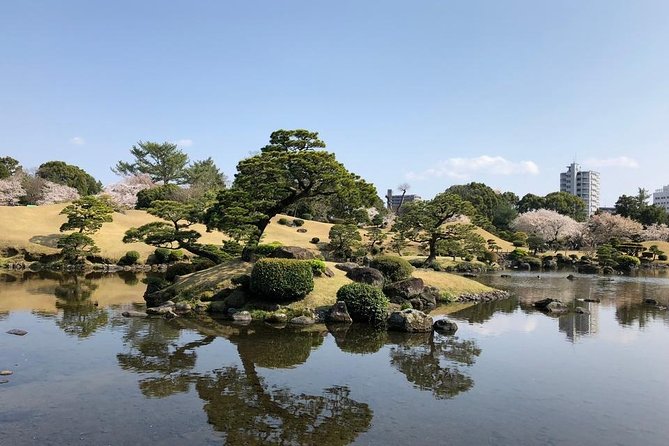 Kumamoto Half-Day Private Tour With Government-Licensed Guide - The Sum Up