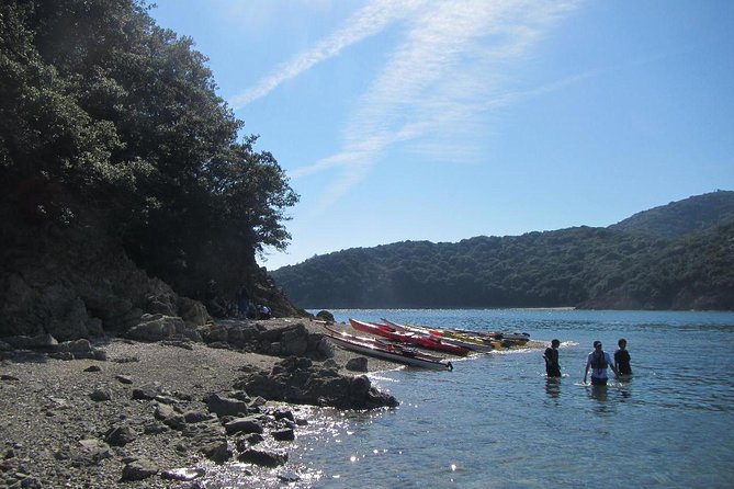 Fukuyama, Hiroshima Full-Day Sea Kayaking Tour Including Lunch 2024 - Scenic Coastal Landscapes