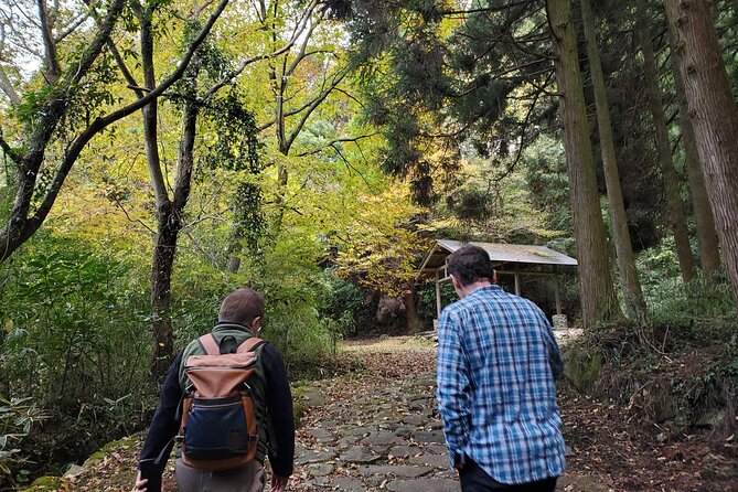 Walking Through the Aso Caldera, Historical Walk Along the "Bungo Kaido" - The Aso Caldera: A Natural Wonder