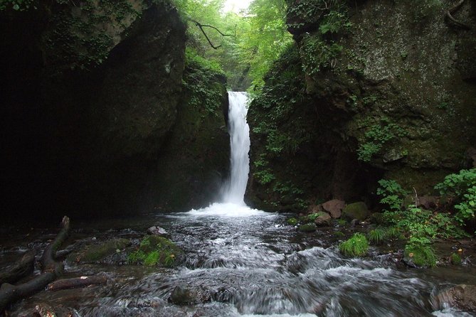 Relax and Refresh in Karuizawa Forest! Shinanoji Down Trekking Around Two People - Pricing and Guarantee