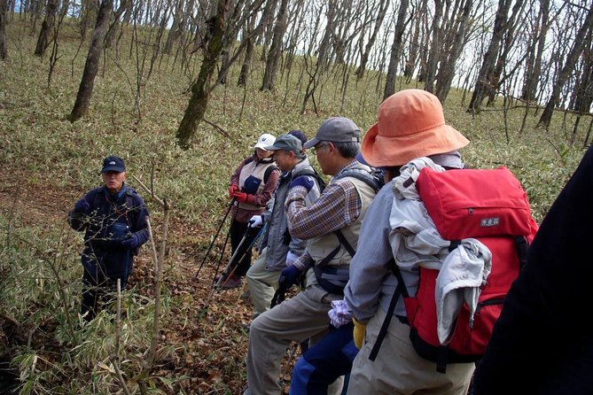 Relax and Refresh in Karuizawa Forest! Shinanoji Down Trekking Around Two People - Traveler Photos