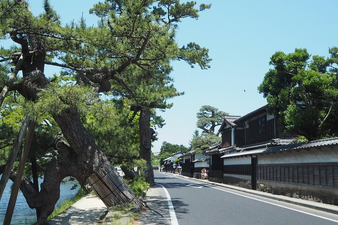 An E-Bike Cycling Tour of Matsue That Will Add to Your Enjoyment of the City - Immerse Yourself in Traditional Japanese Culture