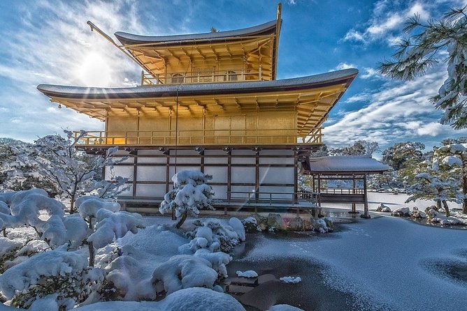 Japan Full Day Guided Mini Van Tour 2024 - Sennichimae - Tour Pricing and Availability