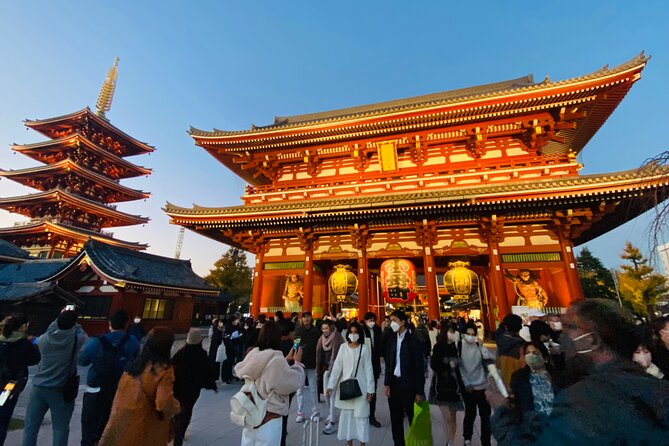 Tokyo Private Custom Tour Around City Area - Pricing and Discounts