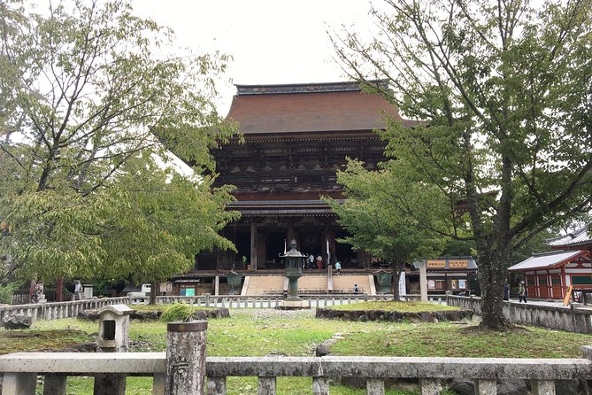 Full-Day Private Guided Tour in a Japanese Mountain: Yoshino, Nara - Tour Details