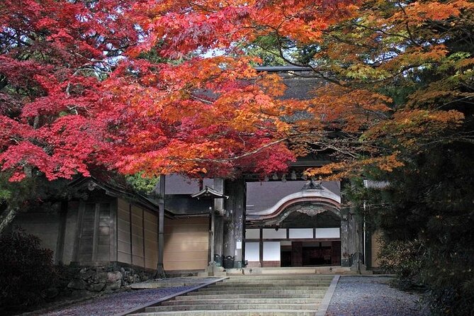 Mt Koya and Kumanokodo Walking 3 Day Tour From Osaka - Accommodation and Meals