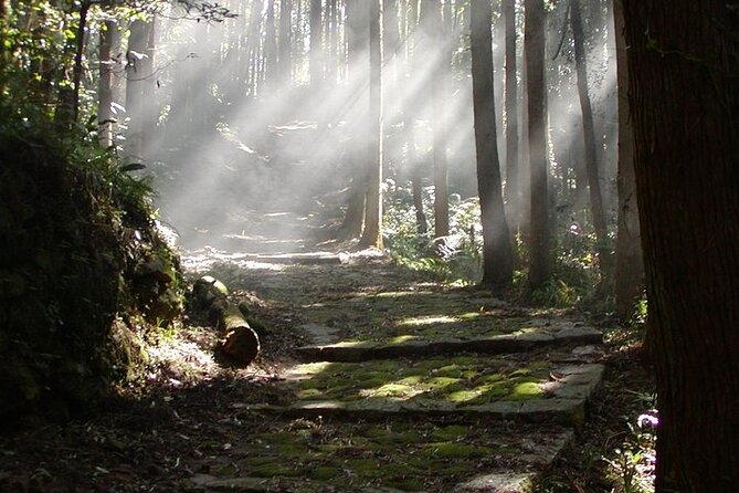 Mt Koya and Kumanokodo Walking 3 Day Tour From Osaka - Customer Reviews and Testimonials