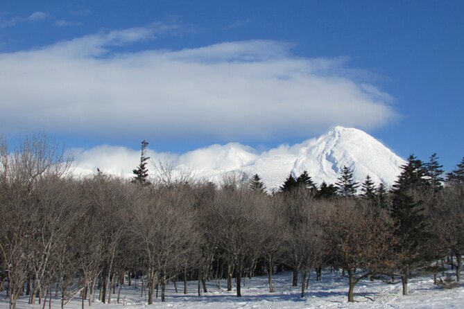 Half-Day Primeval Forest Snowshoe and Wildlife Watching Tour - Meeting and Pickup Information