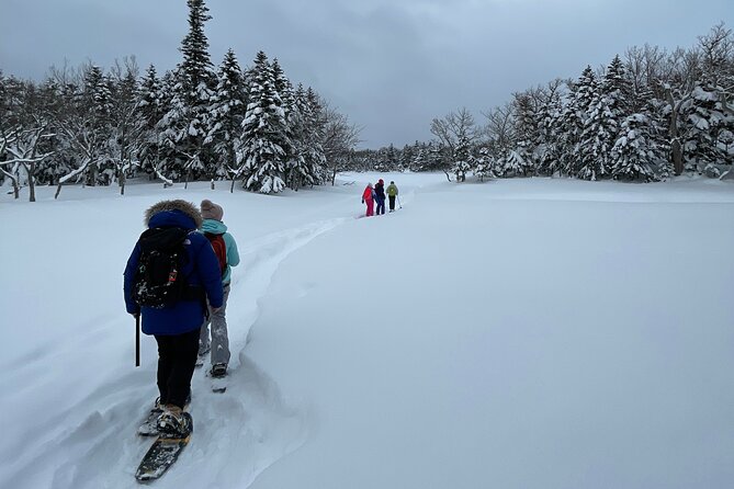 Private Snow Shoe Tour in Shiretoko National Park - Inclusions