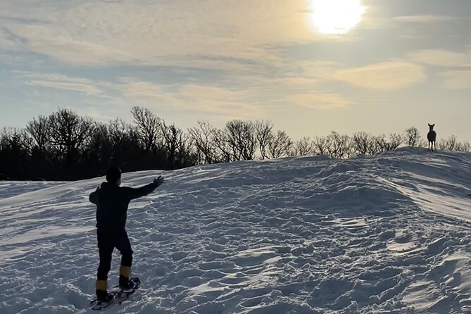 Private Snow Shoe Tour in Shiretoko National Park - Directions