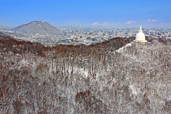 Mt. Moiwa Ropeway / Moriscar Ticket - Cancellation Policy Details