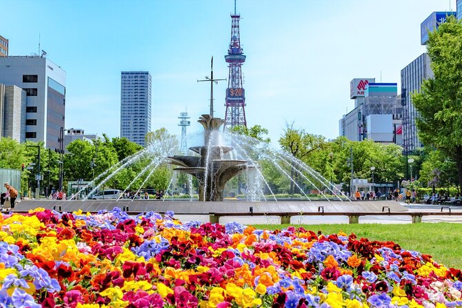 Sapporo Morning Walking Tour - Inclusions and Meeting Details