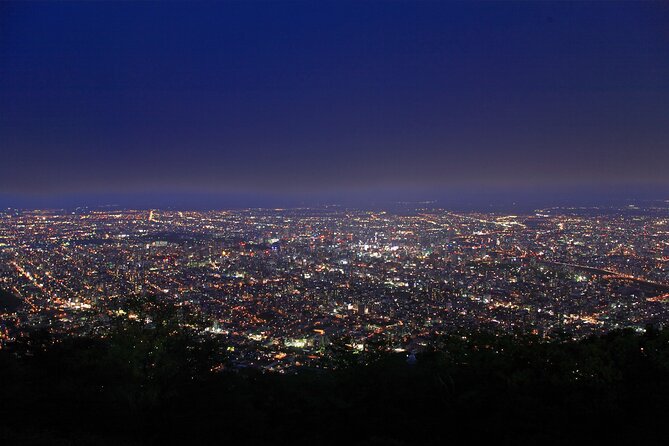 Sapporo Mt. Moiwa & Asahiyama Memorial Park Night View Trip - Trip Details