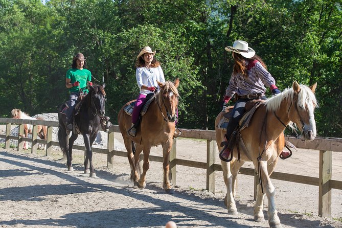 Horseback-Riding in a Country Side in Sapporo - Private Transfer Is Included - The Sum Up