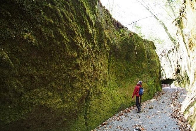 Private Day Trip of Lake Shikotsu and Moss Canyon - Scenic Views and Photo Opportunities