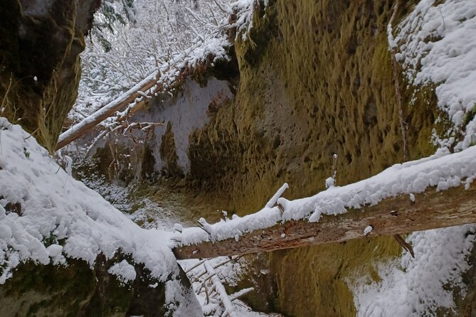 Private Day Trip of Lake Shikotsu and Moss Canyon - Local Wildlife and Flora