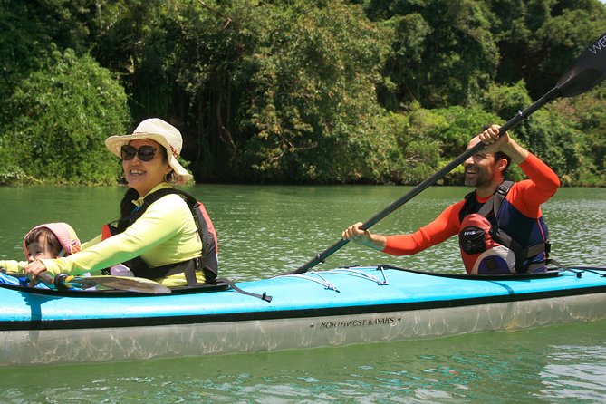 Kayak Mangroves or Coral Reef: Private Tour in North Okinawa - Exploring the Mangroves: A Unique Kayaking Experience