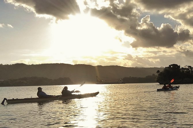 Kayak Mangroves or Coral Reef: Private Tour in North Okinawa - Choosing the Right Location: Mangroves or Coral Reef