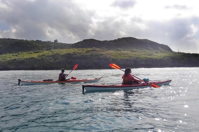 Kayak Mangroves or Coral Reef: Private Tour in North Okinawa - Tips and Recommendations for an Unforgettable Experience