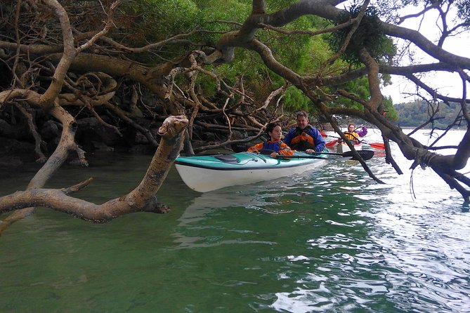 Kayak Mangroves or Coral Reef: Private Tour in North Okinawa - What to Expect on Your Private Kayaking Tour