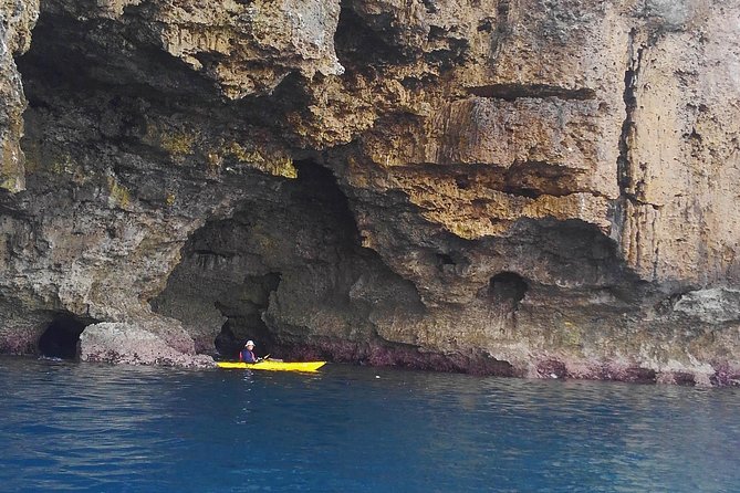 Kayak Mangroves or Coral Reef: Private Tour in North Okinawa - Expert Guides: Unveiling the Secrets of North Okinawa