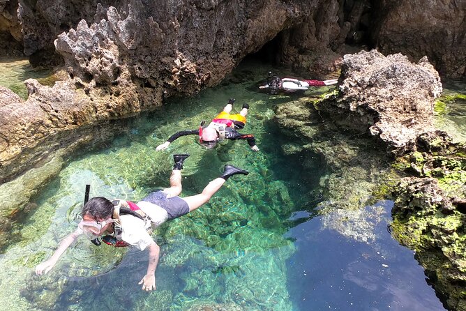 Kayak & Snorkel: Private Tour in Yanbaru, North Okinawa - Tour Highlights