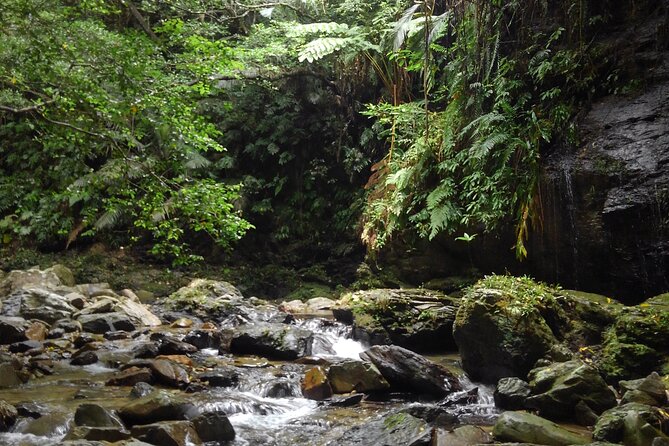 Jungle River Trek: Private Tour in Yanbaru, North Okinawa - Weather Conditions and Attire
