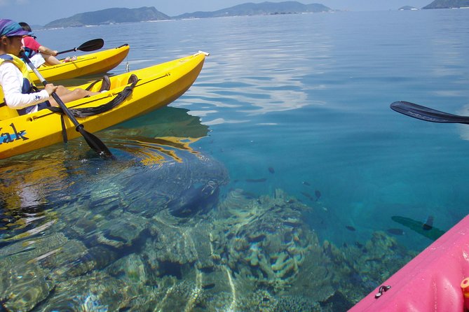 Lets Go to a Desert Island of Kerama Islands on a Sea Kayak - Frequently Asked Questions