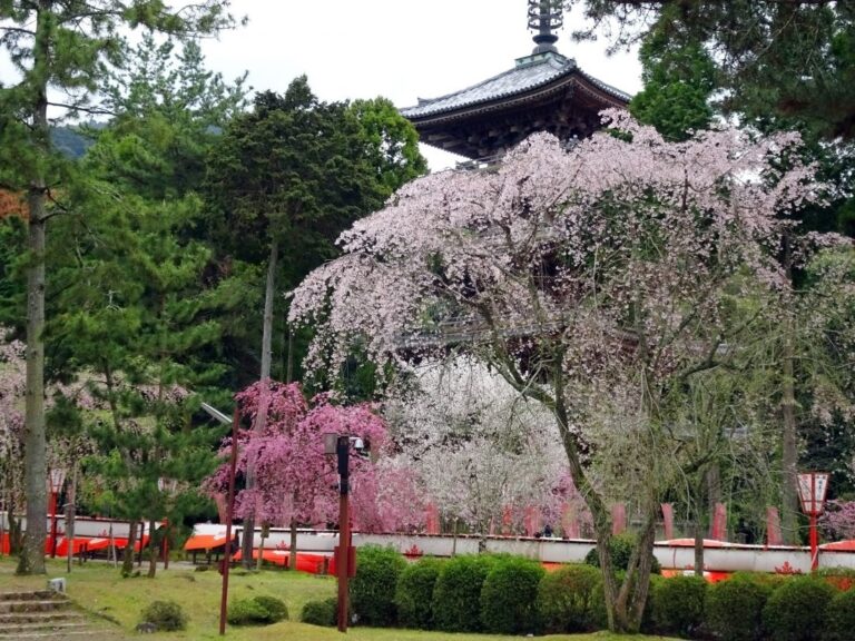 Daigoji Temple Kyoto