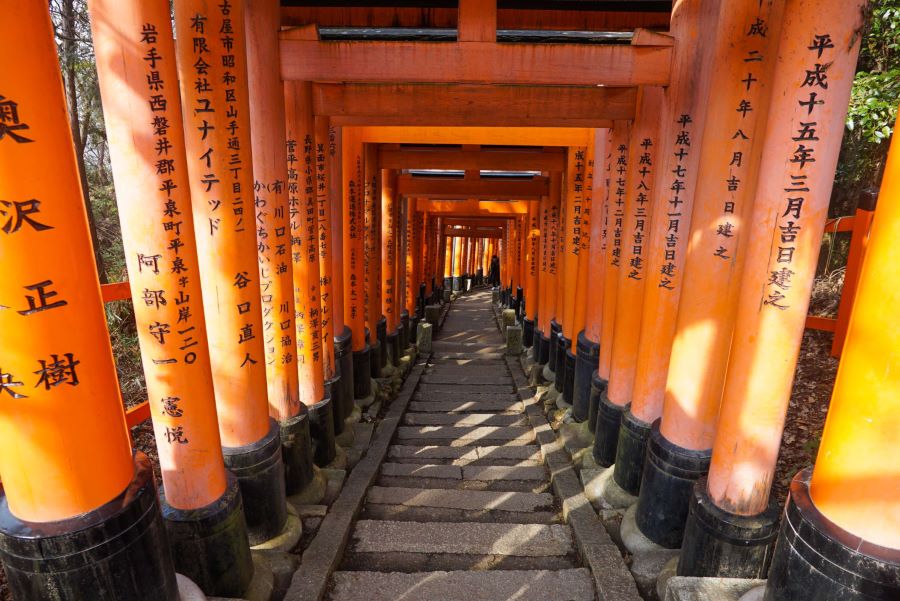 Fushimi Inari Hidden Hiking Tour Key Points