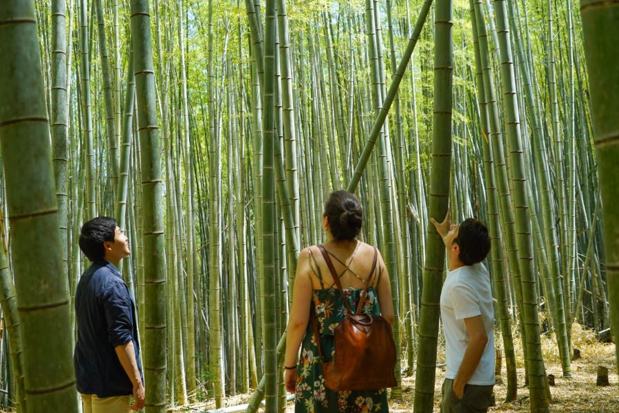 Fushimi Inari Hidden Hiking Tour - Unveiling the Secret Hiking Routes of Fushimi Inari