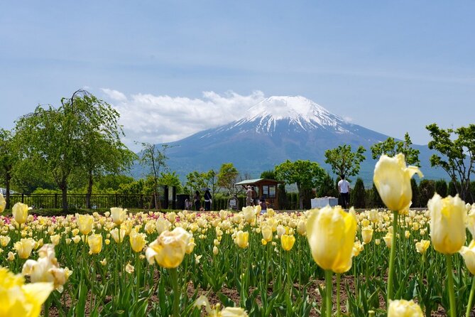 Mt Fuji Private Customize Tour With English Speaking Driver - Exploring Mt Fujis Natural Beauty