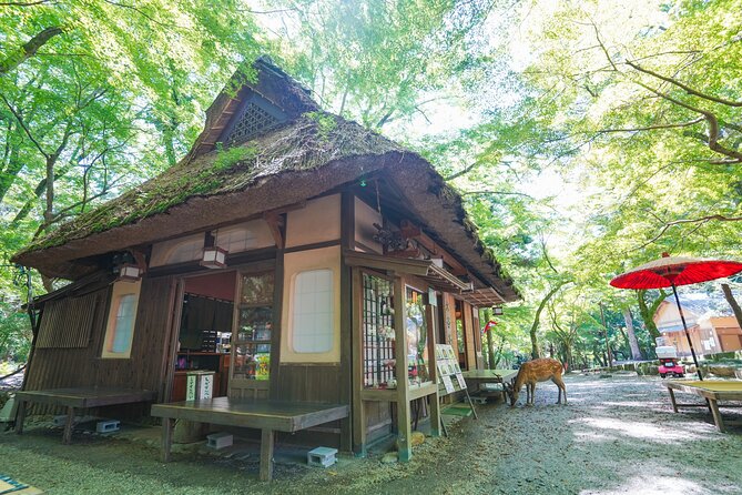 Nara Half Day Trip Walking Tour - Hidden Gems of Nara