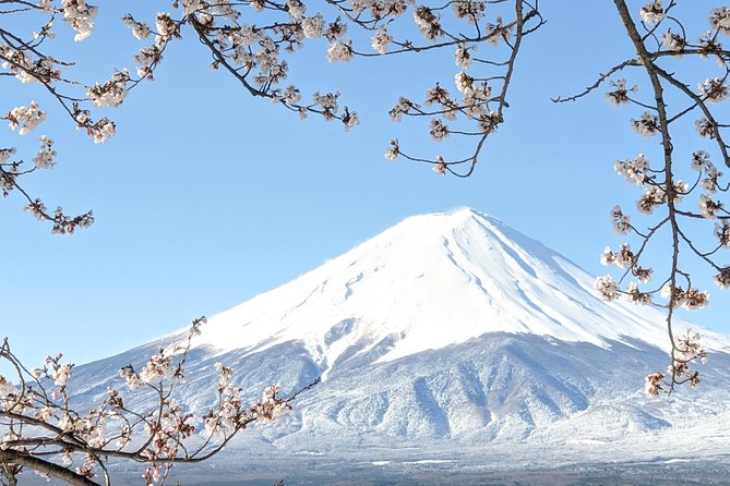 Private Tour: Chartered Car to Mt. Fuji Lake Kawaguchiko or Hakone and Lake Ashi - Customer Satisfaction and Reviews