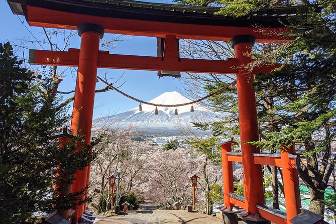 Private Tour: Chartered Car to Mt. Fuji Lake Kawaguchiko or Hakone and Lake Ashi - Why Travelers Choose This Tour