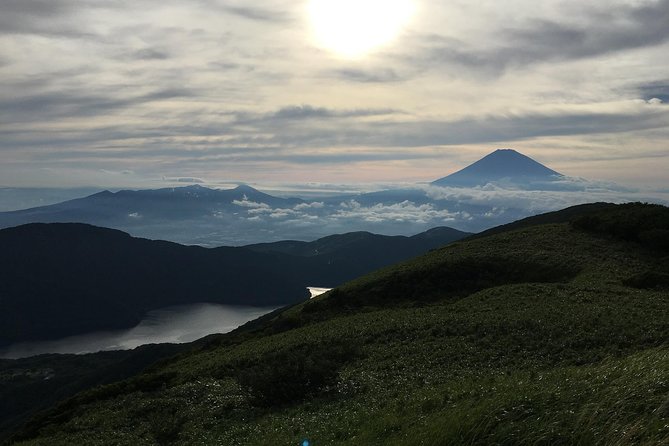 Private Tour: Chartered Car to Mt. Fuji Lake Kawaguchiko or Hakone and Lake Ashi - Cancellation Policy