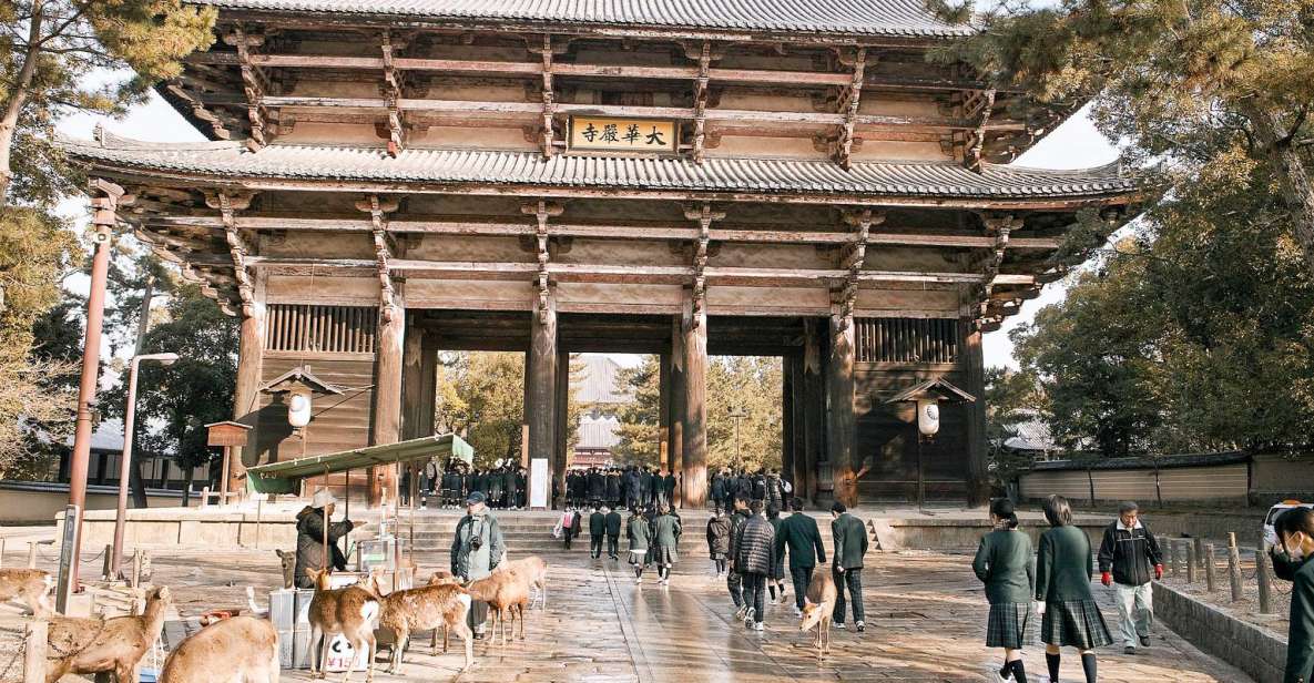 Nara Like a Local: Customized Guided Tour - Booking Information