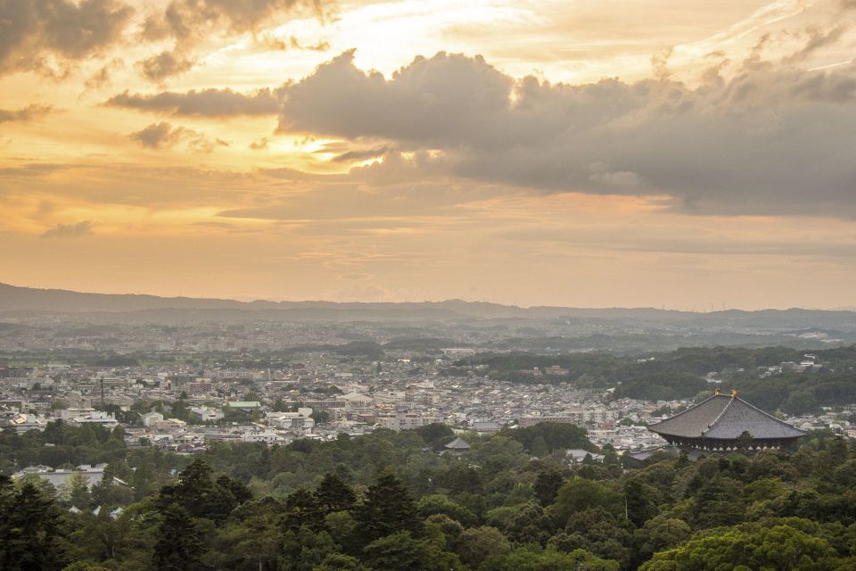 Nara Like a Local: Customized Guided Tour - Tour Experience