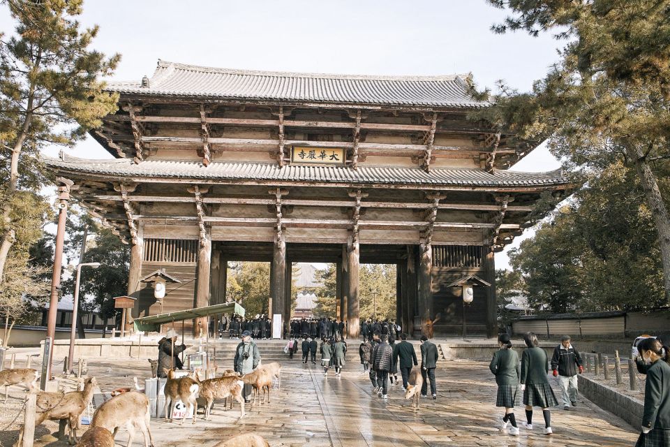 Nara Like a Local: Customized Guided Tour - Review Summary