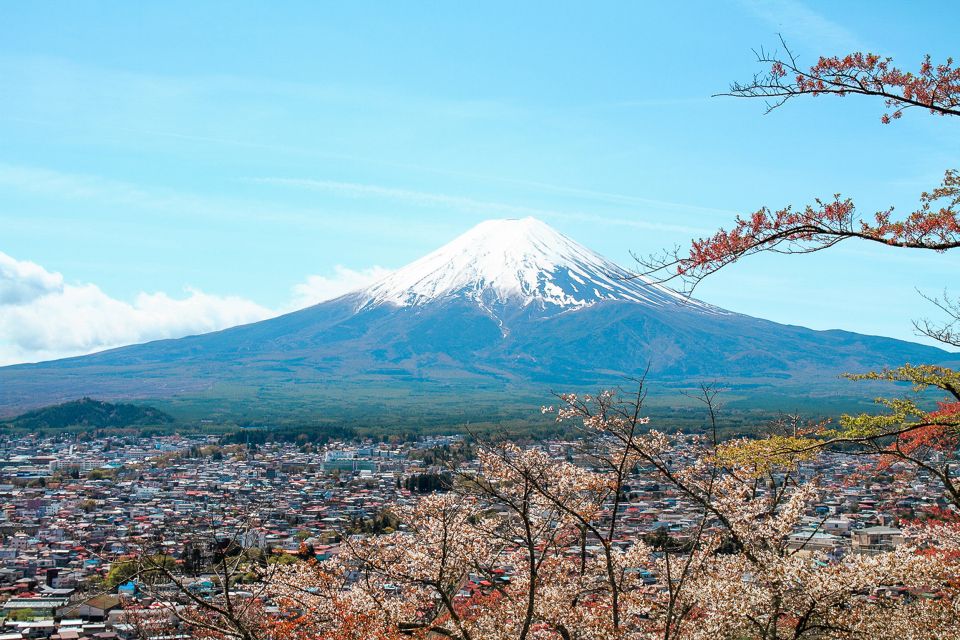 From Tokyo: Mt. Fuji Full-Day Sightseeing Trip - Free Cancellation and Flexible Payment Options