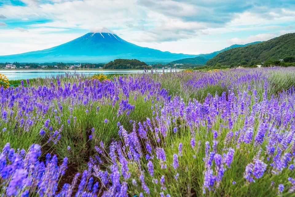 From Tokyo: Mt. Fuji Full-Day Sightseeing Trip - Duration and Availability Details