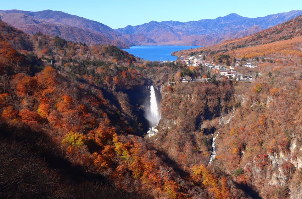 From Tokyo: UNESCO Shrine and Nikko Scenic Spots Bus Tour - Frequently Asked Questions