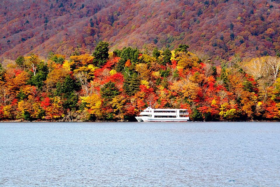 From Tokyo: UNESCO Shrine and Nikko Scenic Spots Bus Tour - Ratings and Reviews